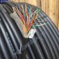 Cáp điện thoại 20 đôi PCM 20x2x0,5