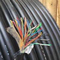 Cáp điện thoại 10 đôi 10x2x0,65