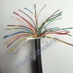 Cáp điện thoại 10 đôi 10x2x0,5 - Treo