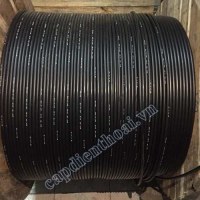 Cáp điện thoại 10 đôi