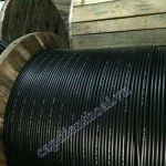 Cáp điện thoại 10 đôi Z43
