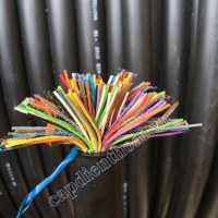 Cáp điện thoại 200 đôi PCM