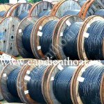 Cáp quang 144FO single mode