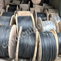 Cáp điện thoại 5 10 20 30 50 100 200 300 500 đôi