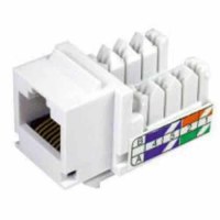 Nhân mạng AMP cat6 chính hãng