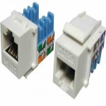 Nhân mạng AMP dùng cho cat5
