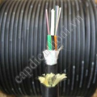 Cáp quang chôn trực tiếp 12FO (12 core / 12 sợi)