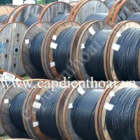 Kho Cáp quang 12 fo